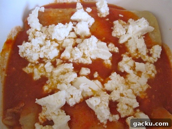 Meatless Enchiladas 4 Meatless Enchiladas 4