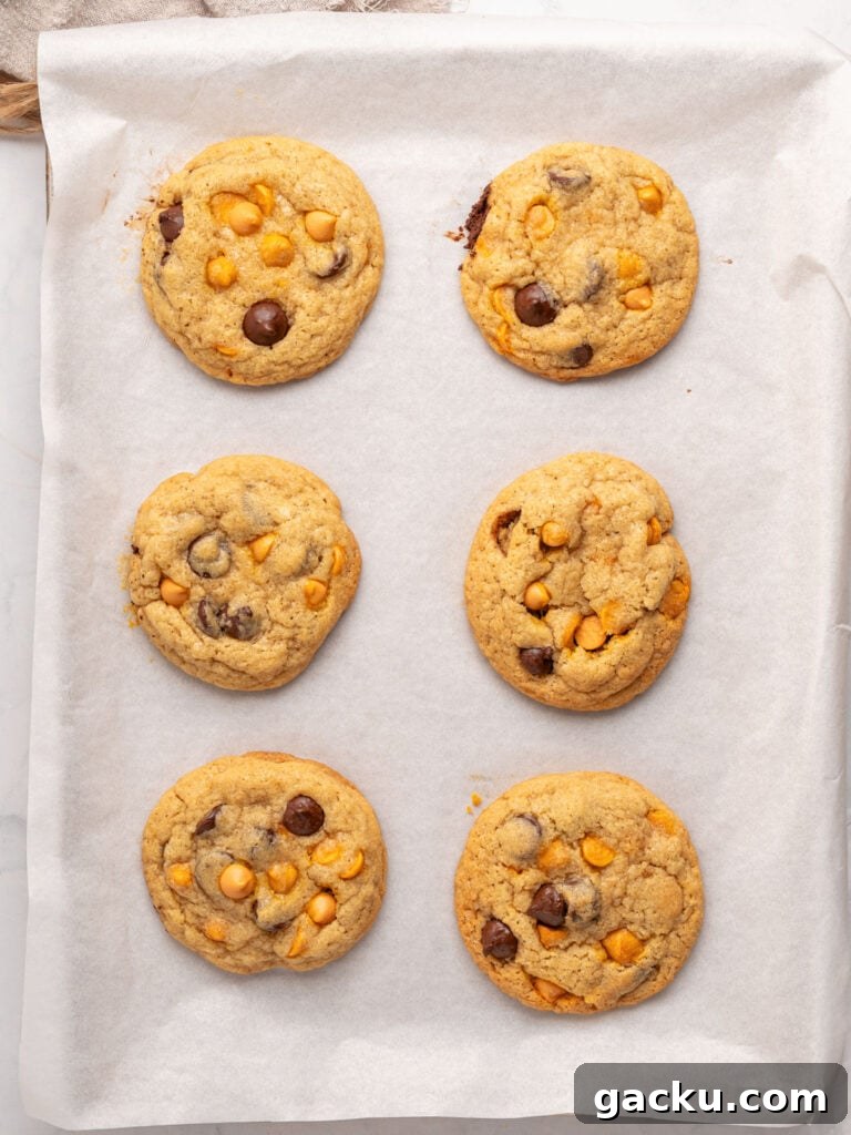 Chewy Butterscotch Chocolate Chip Cookies — No-Chill Dough Recipe 8 Baked chocolate chip butterscotch cookies on white parchment paper.
