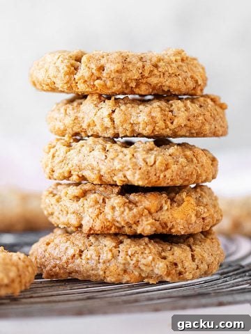 Close up of stack of oatmeal cookies on a wire rack with grey background.