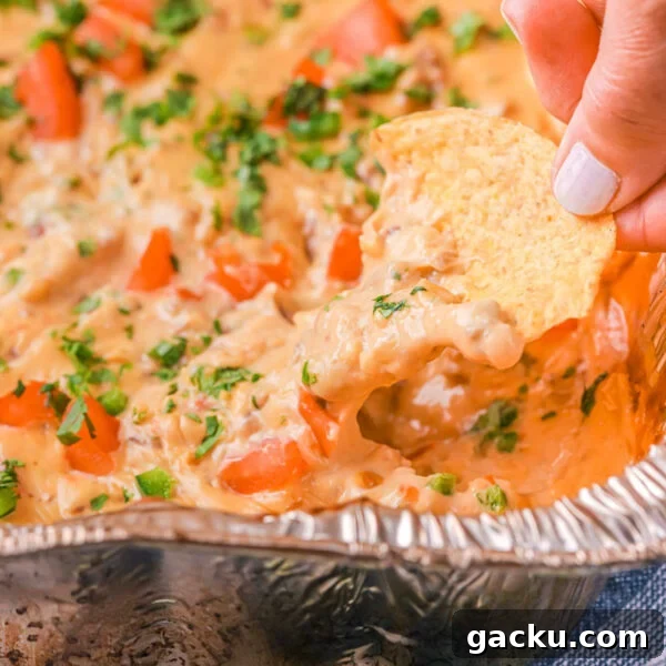 Cheesy queso dip with chips.