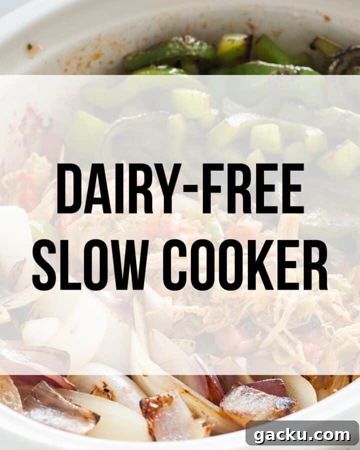 dairy free crockpot recipes