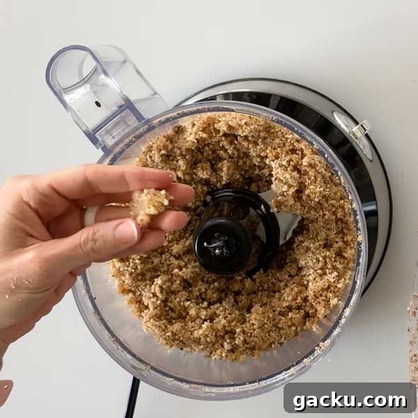 Hand holding a clump of mixed cheesecake crust in the food processor.