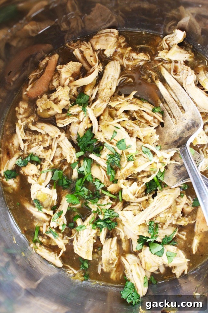 10 Cozy At-Home Recipes for Comfort and Shelter Cooking 11 Instant Pot Green Chili Chicken