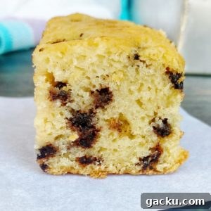 Eggless Chocolate Chip Cake Recipe – Moist & Chocolatey 3 img 67030 2