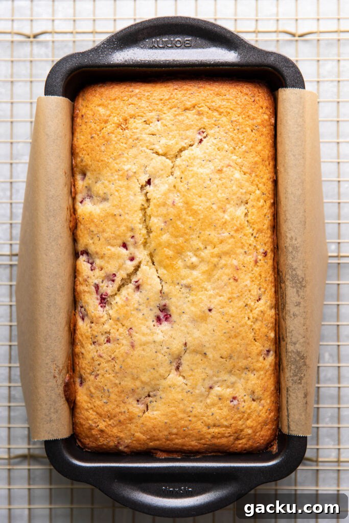 Lemon Raspberry Poppy Seed Loaf Cake Recipe 7 raspberry lemon poppyseed loaf cake in a pan.