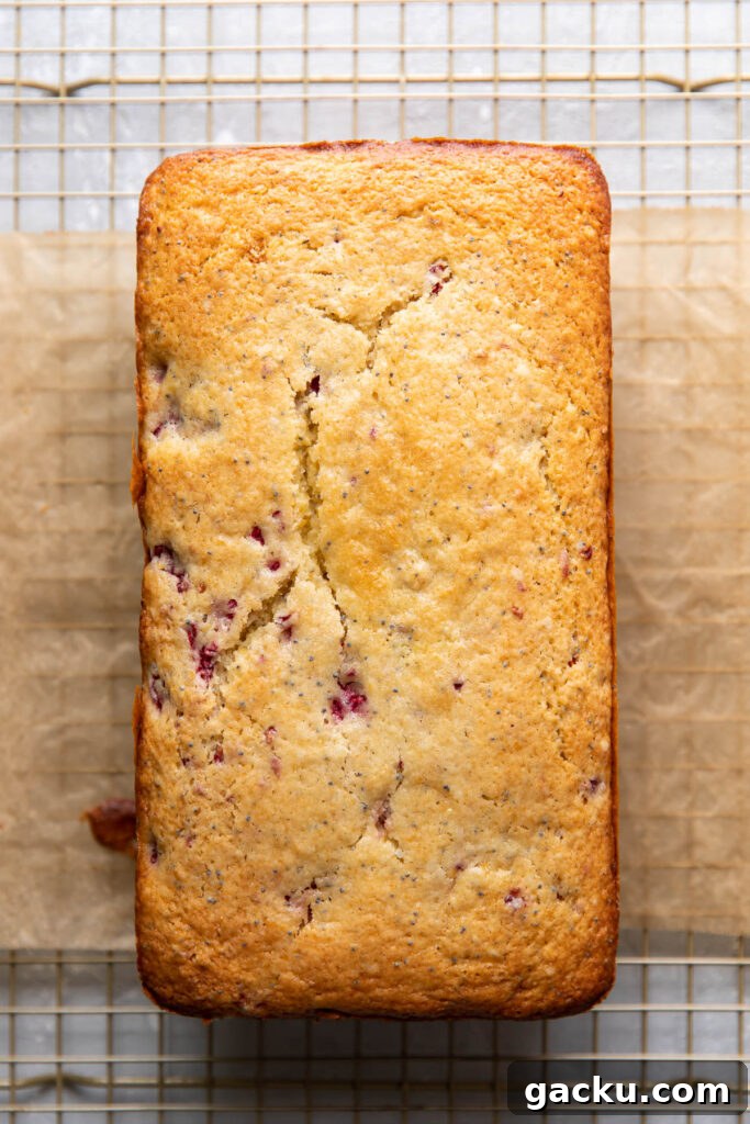 Lemon Raspberry Poppy Seed Loaf Cake Recipe 8 raspberry lemon poppyseed loaf cake in a pan.