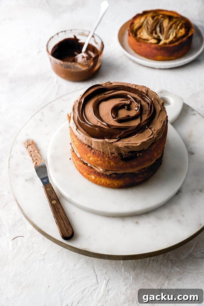 nutella swirl on top of nutella frosting