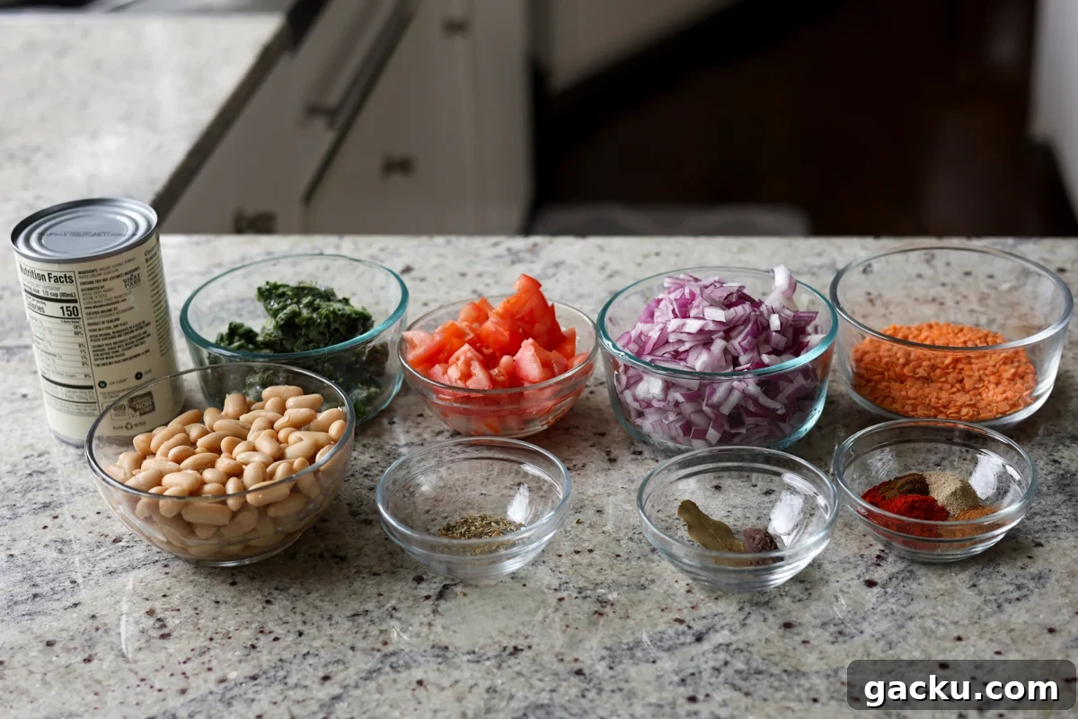 lentil bean stew ingredients on the kitchen counter