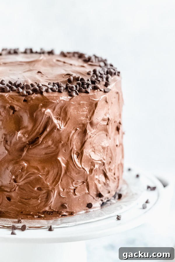 chocolate fudge cake on a cake stand