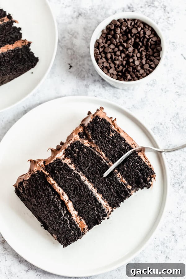 slices of chocolate cake with fudge frosting