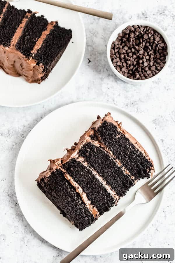 slices of chocolate cake with fudge frosting