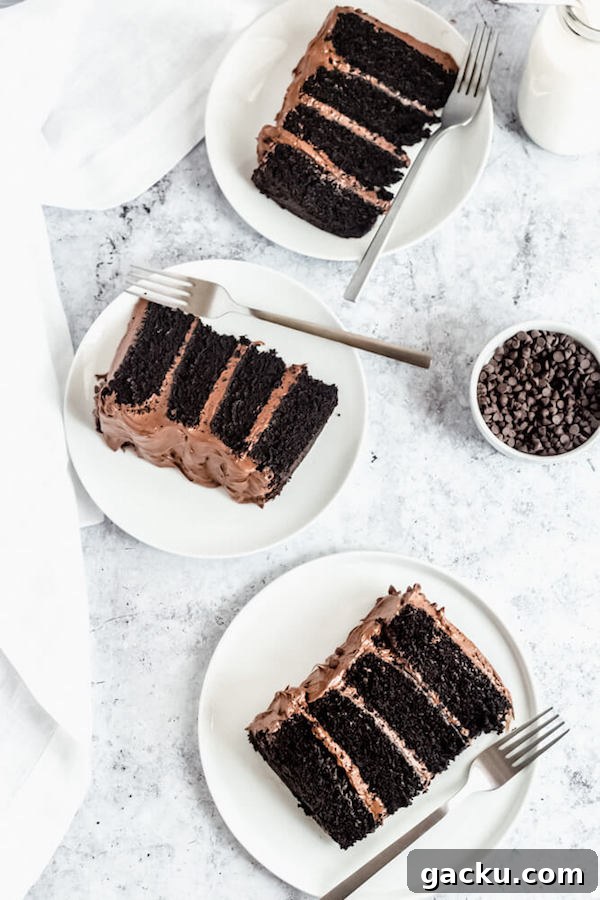 slices of chocolate cake with fudge frosting