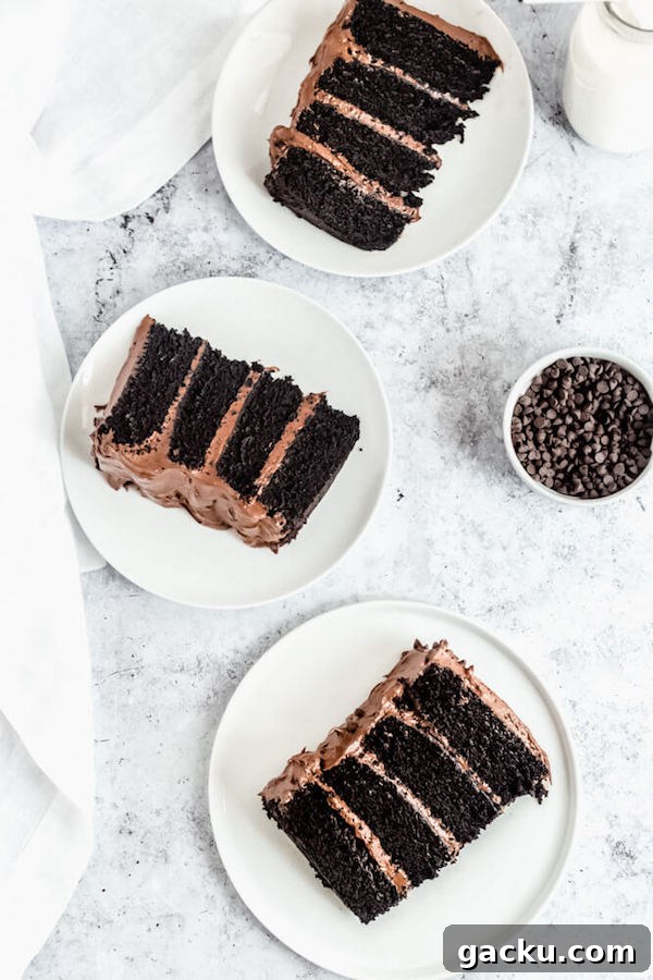 slices of chocolate cake with fudge frosting