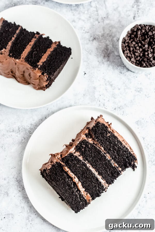 slices of chocolate cake with fudge frosting