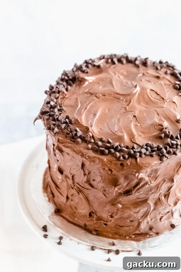 chocolate cake on a cake stand