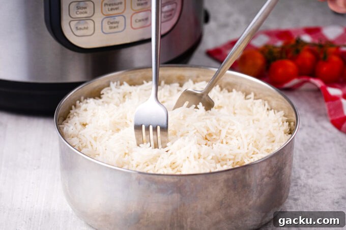 Instant Pot Chicken Tikka Masala with Fragrant Basmati Rice 11 Fluffy rice cooked in the Instant Pot.