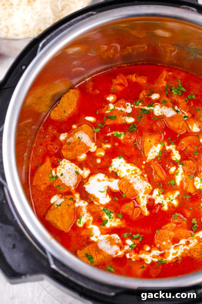 Instant Pot Chicken Tikka Masala with Fragrant Basmati Rice 12 Overhead shot of Instant Pot chicken tikka masala.