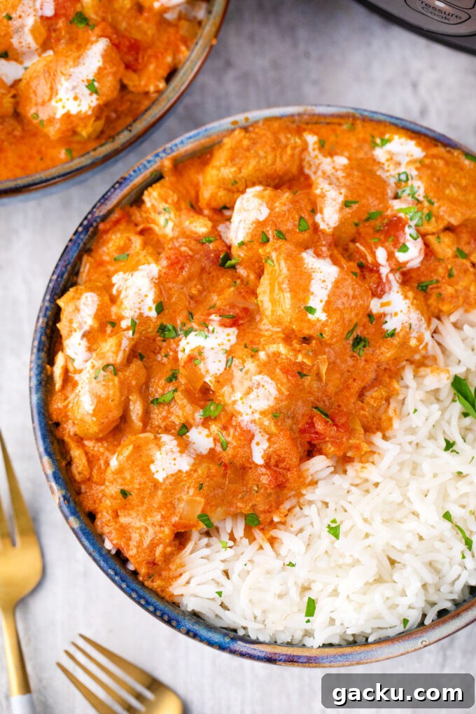 Instant Pot Chicken Tikka Masala with Fragrant Basmati Rice 14 Overhead shot of creamy Instant Pot chicken tikka masala.
