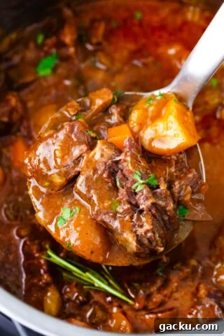 A ladle of juicy Instant Pot beef Bourguignon.