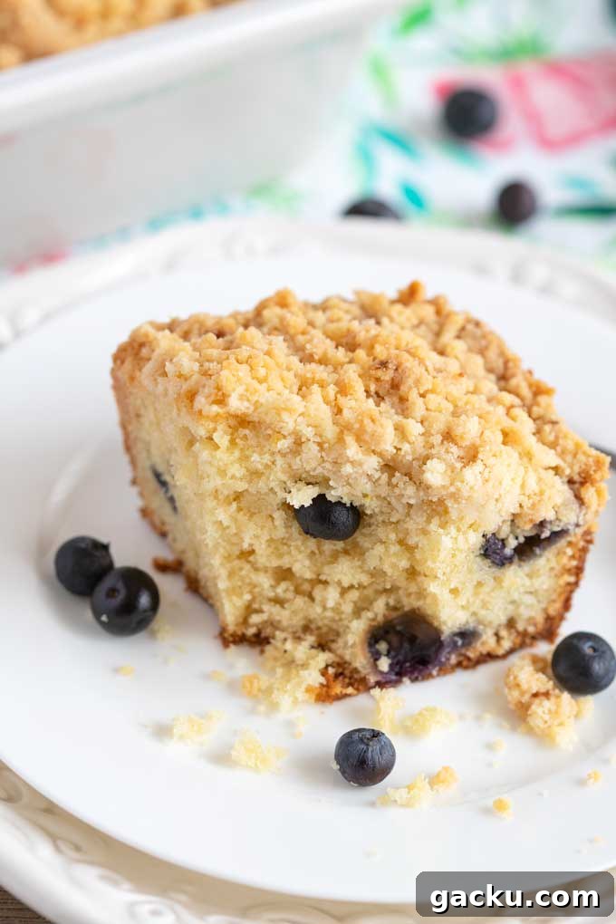 A slice of blueberry coffee cake on a white plate.