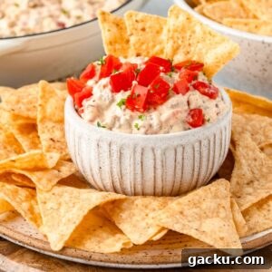 A ceramic bowl filled with creamy dip topped with diced tomatoes and herbs is surrounded by crispy tortilla chips, all arranged on a round plate.