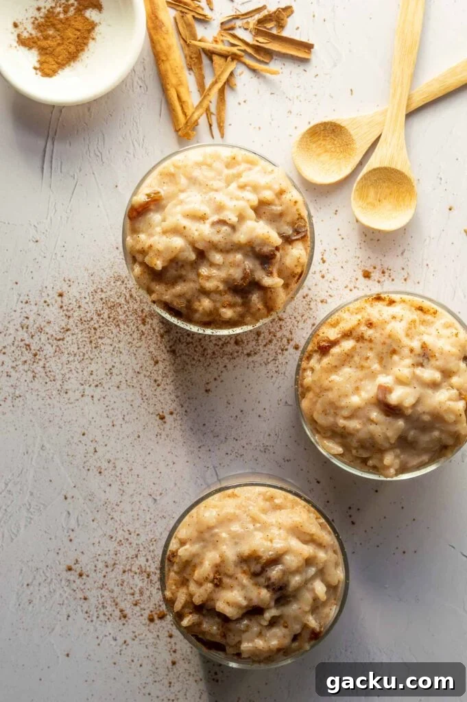 three small servings of creamy rice on a white backdrop.