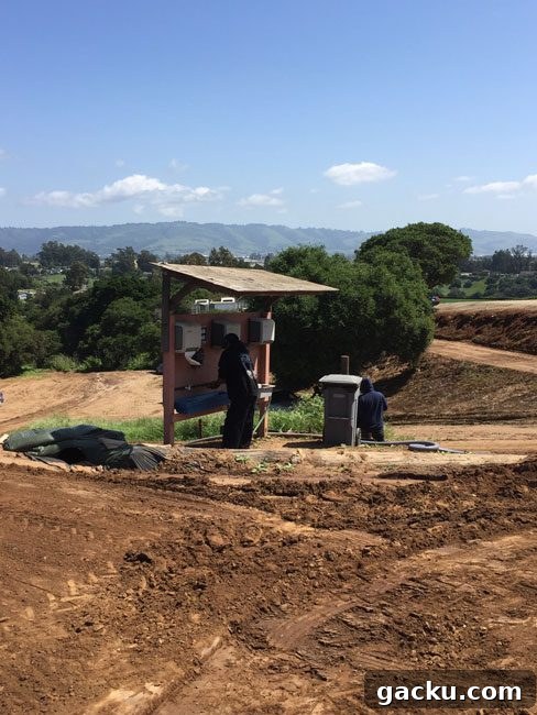 Field hygiene practices