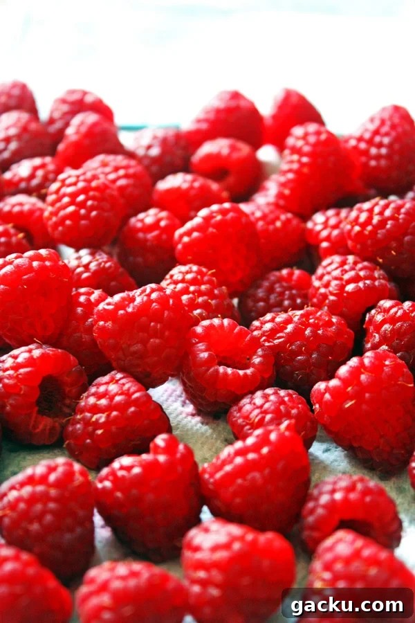 Dark Chocolate Raspberry Banana Bread: Moist, Fruity Loaf Recipe 3 Raspberries