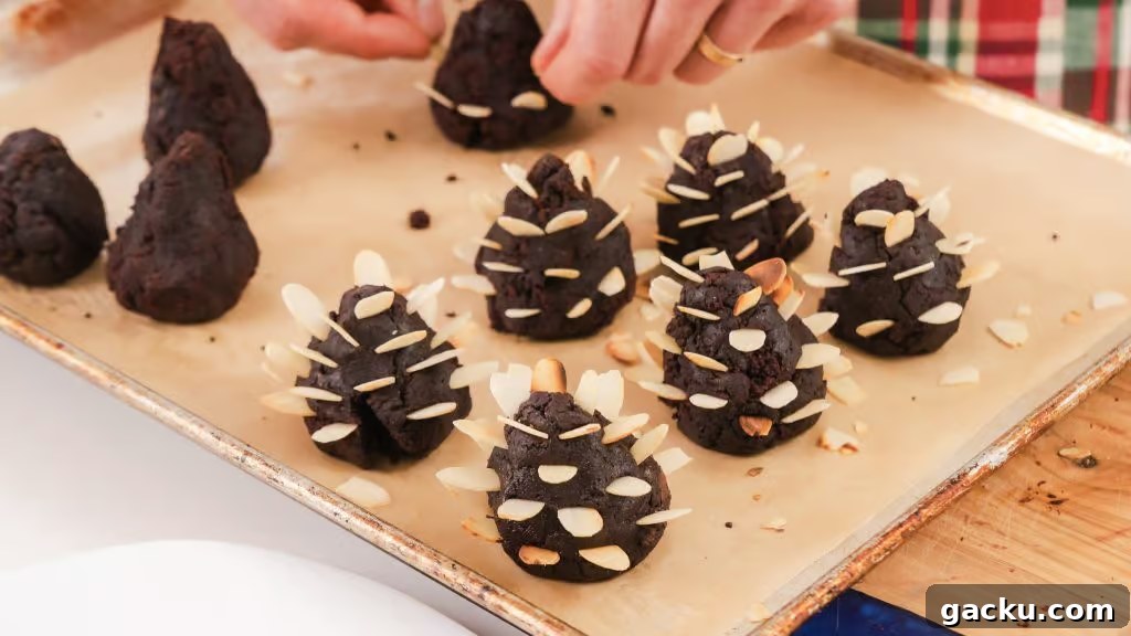 Chocolate Almond Brownie Pinecones — Decadent Dessert Recipe 4 Chocolate Brownie Almond Pinecones