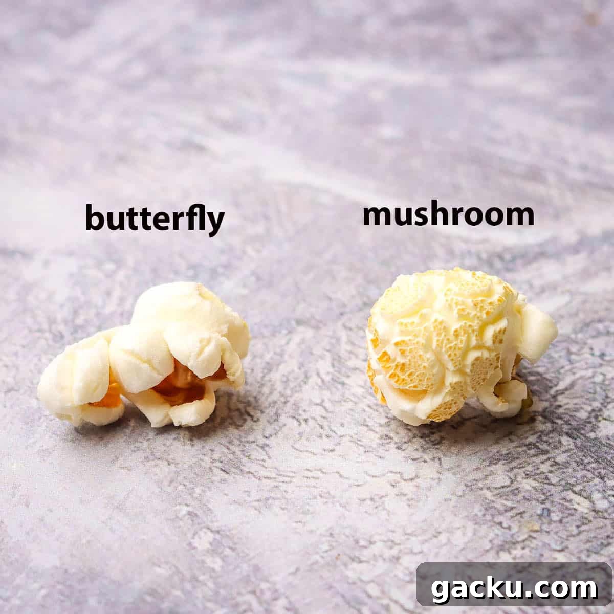 A visual comparison of butterfly popcorn versus mushroom popcorn.